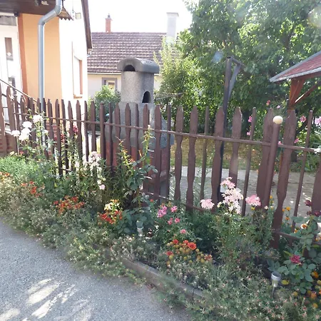Kovács Zalaegerszeg
